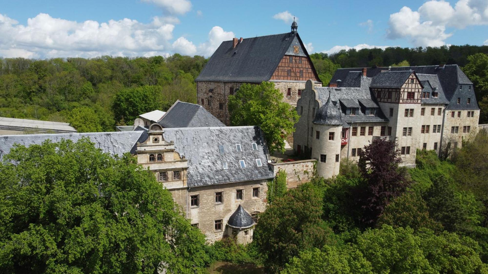 Schloss Beichlingen Dış mekan fotoğraf