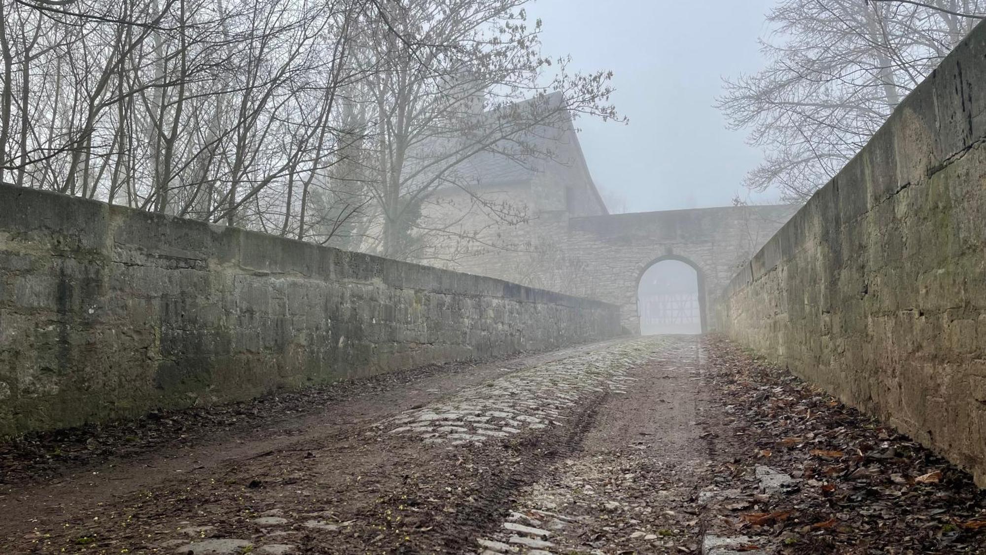 Schloss Beichlingen Dış mekan fotoğraf