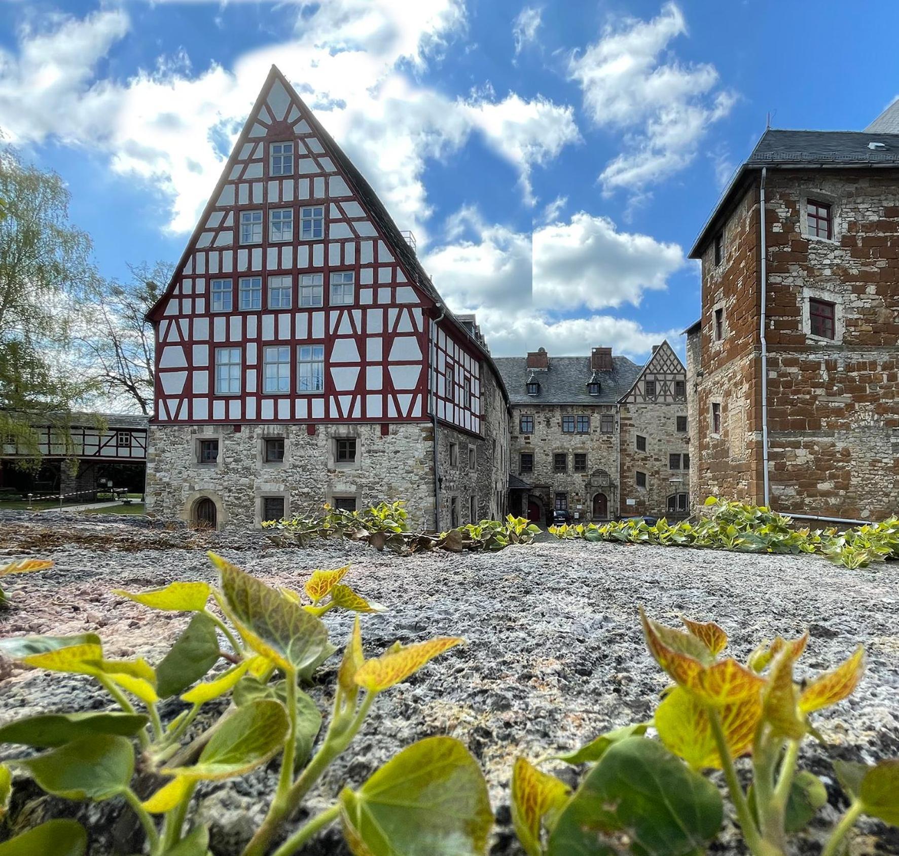 Schloss Beichlingen Dış mekan fotoğraf