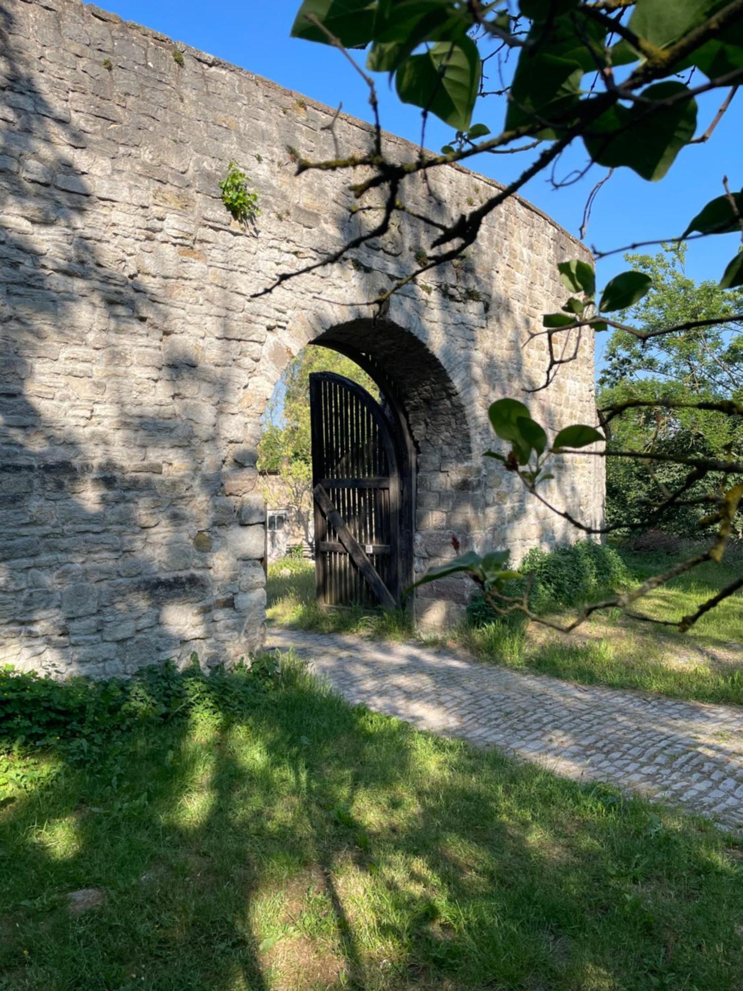 Schloss Beichlingen Dış mekan fotoğraf