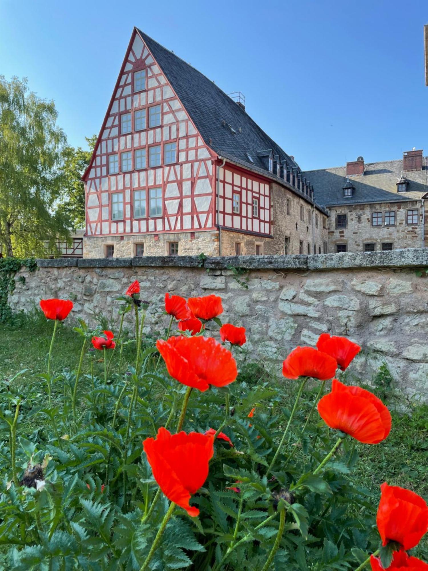 Schloss Beichlingen Dış mekan fotoğraf