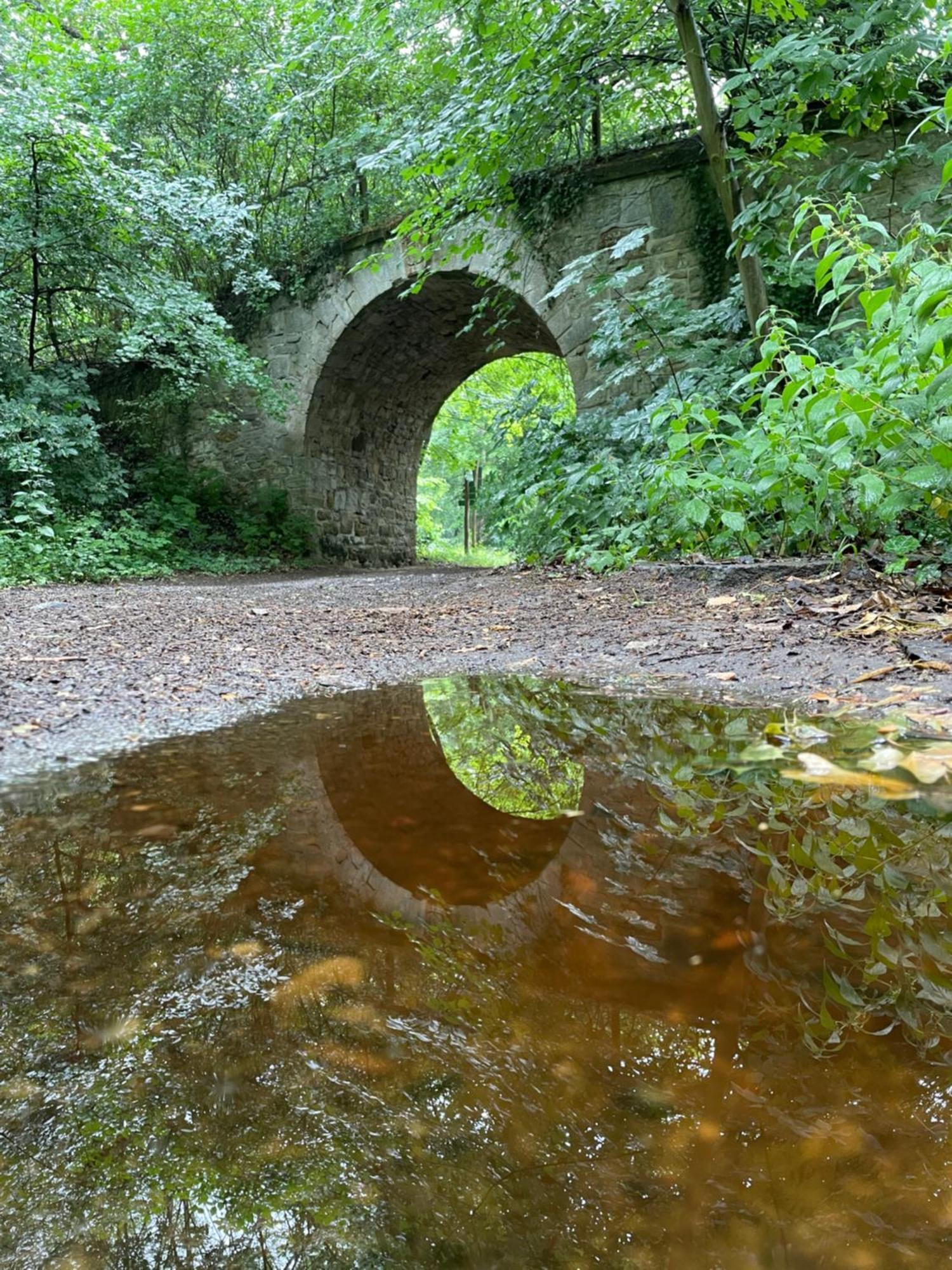 Schloss Beichlingen Dış mekan fotoğraf