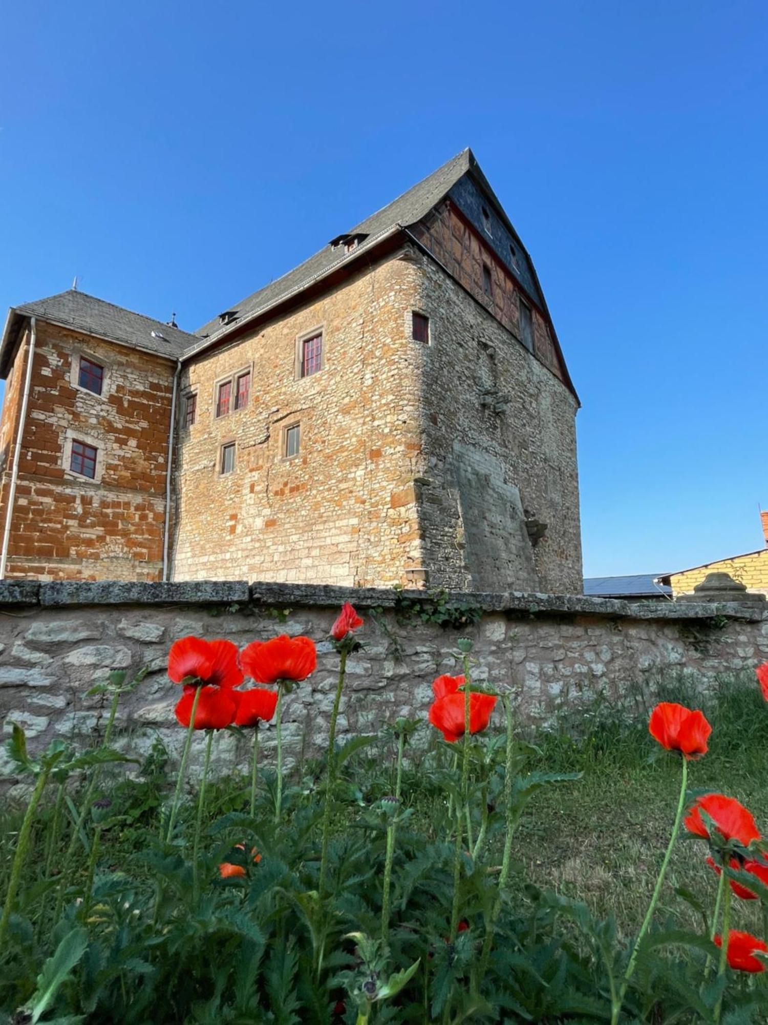 Schloss Beichlingen Dış mekan fotoğraf