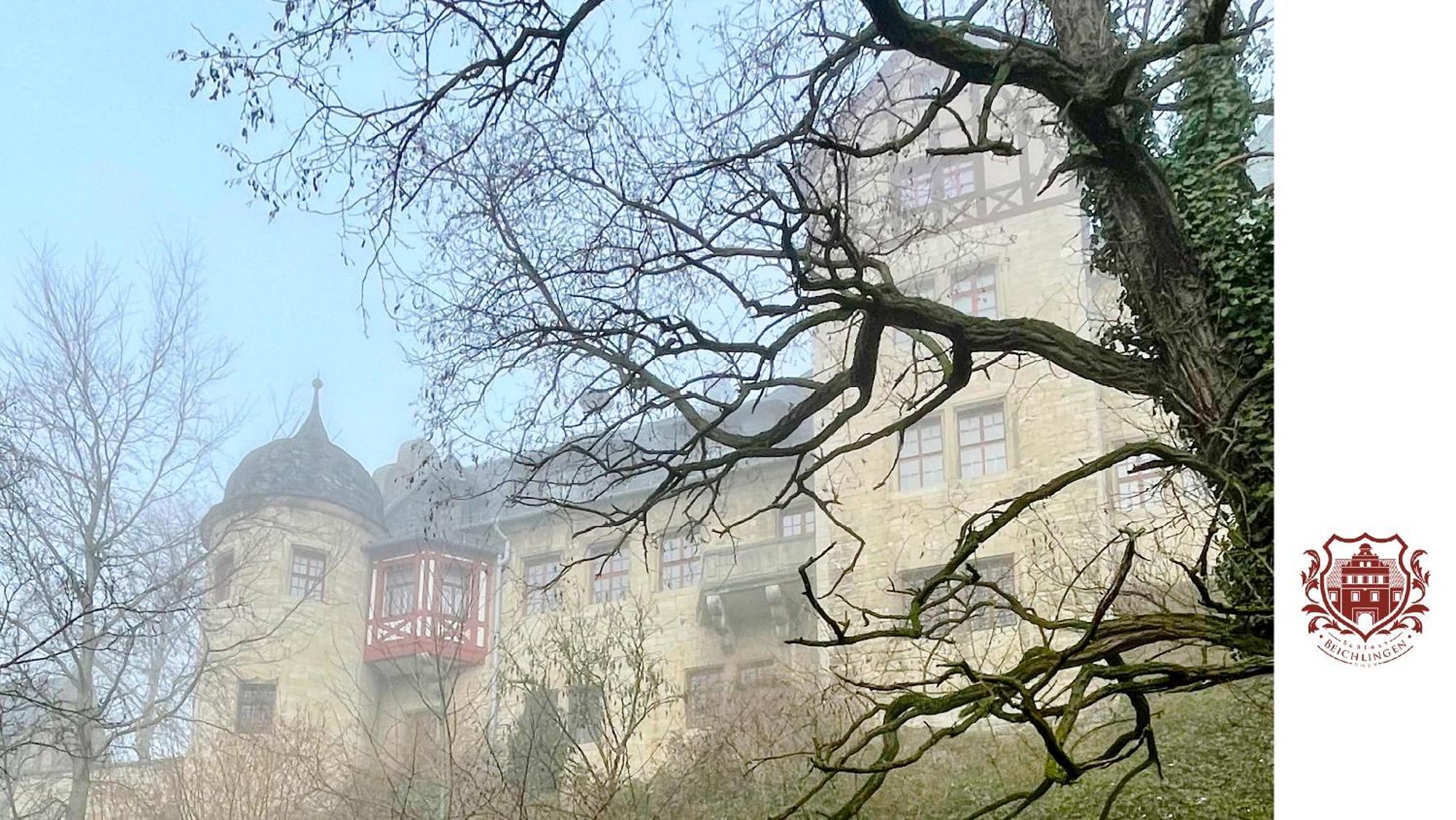 Schloss Beichlingen Dış mekan fotoğraf